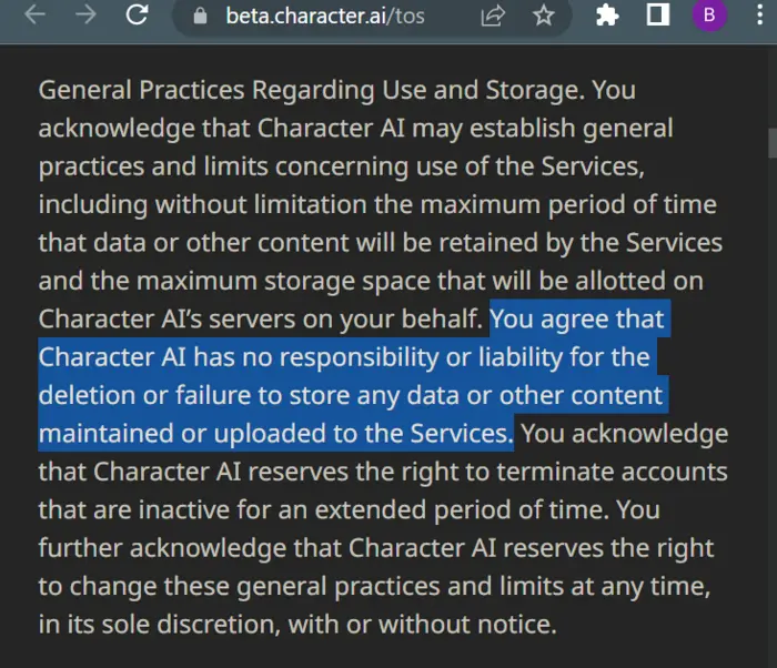 CharacterAI TOS Screenshot highlighting how they Measures user Data Safety