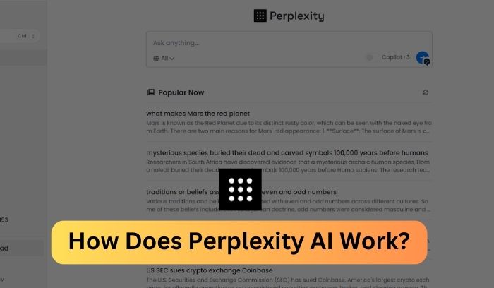 how does Perplexity AI work