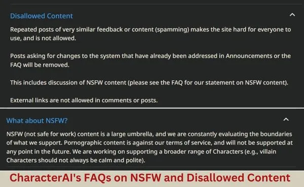 CharacterAI's FAQs on NSFW and Disallowed Content
