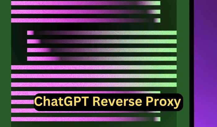 ChatGPT Reverse Proxy key